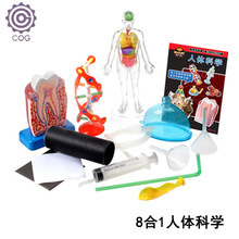 科技小制作 探索科學與創(chuàng)意的完美結(jié)合
