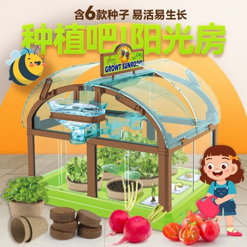DIY陽光房科學(xué)實(shí)驗(yàn)玩具 打造孩子的迷你花園，探索植物生長的奧秘